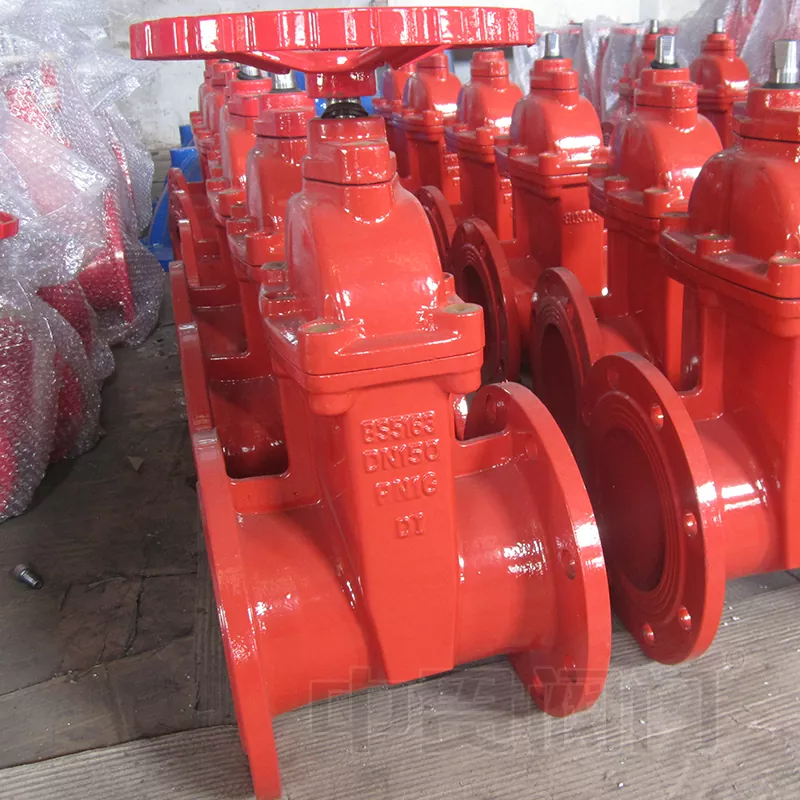 BS5163 Standard Resilient Seat Gate Valve