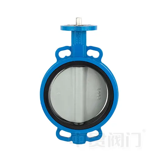Concentric butterfly valve