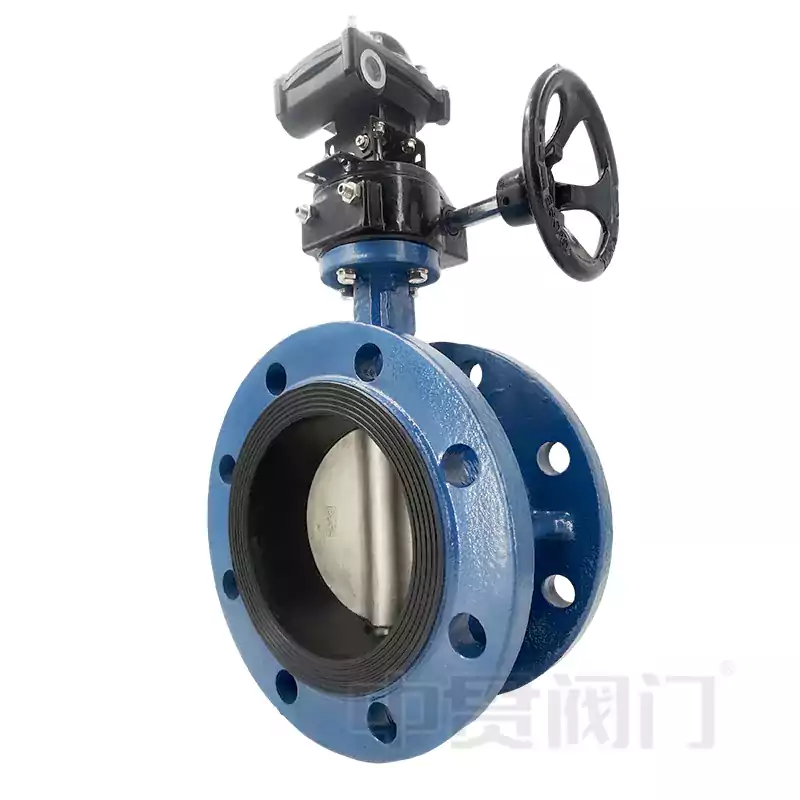 Manu -manong Gear Butterfly Valve