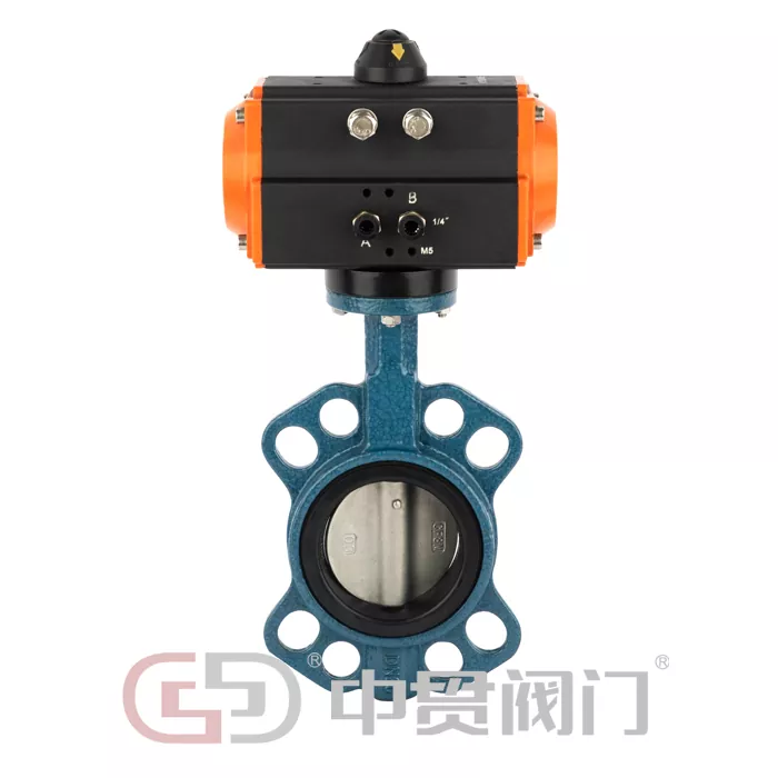 Pneumatic actuated butterfly valve